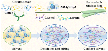 Graphical abstract: A binder-free method to produce heat-sealable and transparent cellulose films driven by a confined green solvent