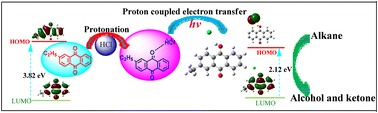 Graphical abstract: Enhanced driving force and charge separation efficiency of protonated anthraquinone for C–H photooxygenation of alkanes by proton-coupled electron transfer