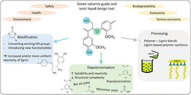 Graphical abstract: Sustainable lignin modifications and processing methods: green chemistry as the way forward