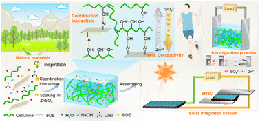 Graphical abstract: High ionic conductivity and toughness hydrogel electrolyte for high-performance flexible solid-state zinc-ion hybrid supercapacitors enabled by cellulose-bentonite coordination interactions