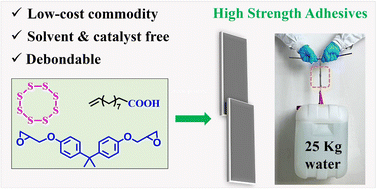 Graphical abstract: Chemically debondable, high-strength and tough adhesives from sulfur-modified epoxy networks