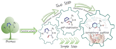 Graphical abstract: Synthesis of renewable isoindolines from bio-based furfurals