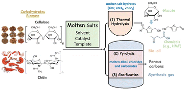 Graphical abstract: Research advancement in molten salt-mediated thermochemical upcycling of biomass waste