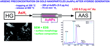 Graphical abstract: Ultratrace determination of arsenic by hydride generation atomic absorption spectrometry with preconcentration on gold nanoparticles
