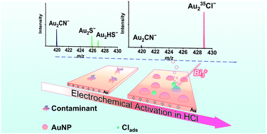 Graphical abstract: ToF-SIMS characterization of surface chemical evolution on electrode surfaces educed by electrochemical activation