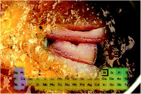 Graphical abstract: Inductively coupled plasma tandem mass spectrometry (ICP-MS/MS) for the analysis of fuels, biofuels and their feedstock using a high temperature total consumption sample introduction system operated under continuous sample aspiration mode