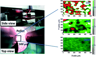 Graphical abstract: Evaluation of compositional micro-homogeneity in MOX fuels using lab based μ-XRF spectrometry