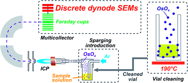 Graphical abstract: A precise and accurate analytical method for determination of osmium isotope ratios at the 1–15 pg level by using a MC-ICP-MS equipped with sparging introduction and high-sensitivity discrete dynode-type ion-counting detectors