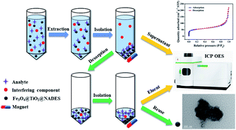 Graphical abstract: Simultaneous determination of lead and copper in Polygonatum kingianum by ICP OES combined with natural deep eutectic solvent-based magnetic dispersive micro solid phase extraction