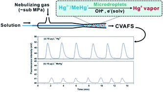 Graphical abstract: Vapor generation of mercury and methylmercury in aqueous microdroplets produced by pneumatic nebulization