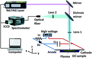 Graphical abstract: A hybrid method combining discharge-assisted laser induced breakdown spectroscopy with wavelet transform for trace elemental analysis in liquid targets