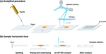 Graphical abstract: Rapid and sensitive determination of leached platinum group elements in organic reaction solution of metal-catalyzed reactions by laser ablation-ICP-MS with spot-drying on paper