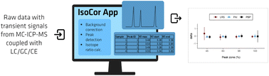 Graphical abstract: Data processing made easy: standalone tool for automated calculation of isotope ratio from transient signals – IsoCor