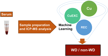 Graphical abstract: Cu fractionation, isotopic analysis, and data processing via machine learning: new approaches for the diagnosis and follow up of Wilson's disease via ICP-MS
