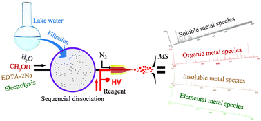 Graphical abstract: Sequential speciation analysis of heavy metals on suspended particulate matter in water using electrochemical mass spectrometry