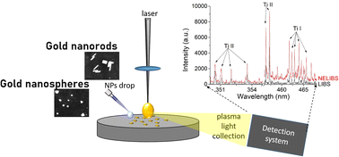 Graphical abstract: Different nanoparticle shapes for nanoparticle-enhanced laser-induced breakdown spectroscopy: nanosphere and nanorod effects