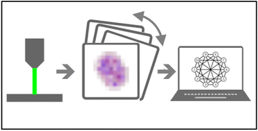 Graphical abstract: Efficient and robust image registration for two-dimensional micro-X-ray fluorescence measurements