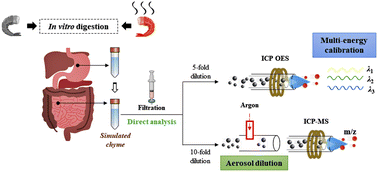Graphical abstract: Multi-energy calibration and aerosol dilution as analytical strategies to access the in vitro bioaccessibility of essential elements and arsenic in raw and cooked shrimp by plasma-based methods