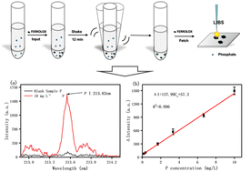 Graphical abstract: Determination of phosphorus in water using iron hydroxide assisted laser-induced breakdown spectroscopy