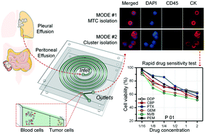 Graphical abstract: High-throughput and label-free enrichment of malignant tumor cells and clusters from pleural and peritoneal effusions using inertial microfluidics