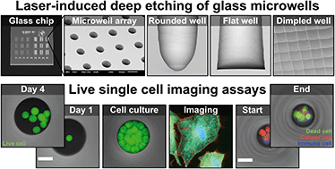 Graphical abstract: Live single cell imaging assays in glass microwells produced by laser-induced deep etching