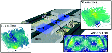 Graphical abstract: On the acoustically induced fluid flow in particle separation systems employing standing surface acoustic waves – Part II