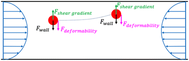 Graphical abstract: A numerical lift force analysis on the inertial migration of a deformable droplet in steady and oscillatory microchannel flows