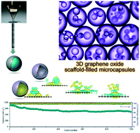 Graphical abstract: A graphene oxide scaffold-encapsulated microcapsule for polysulfide-immobilized long life lithium–sulfur batteries