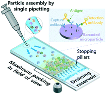 Graphical abstract: One-step assembly of barcoded planar microparticles for efficient readout of multiplexed immunoassay