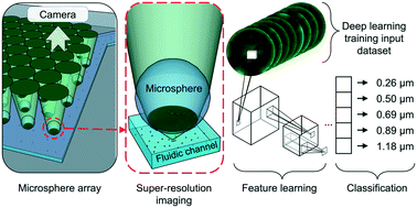 Graphical abstract: Intelligent nanoscope for rapid nanomaterial identification and classification