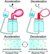 Graphical abstract: Centrifugal disc liquid reciprocation flow considerations for antibody binding to COVID antigen array during microfluidic integration
