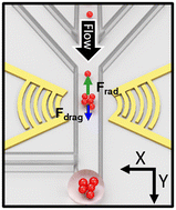 Graphical abstract: Acoustofluidic cell micro-dispenser for single cell trajectory control