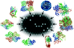 Graphical abstract: Enzyme-based digital bioassay technology – key strategies and future perspectives