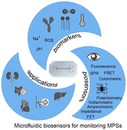 Graphical abstract: Integrated biosensors for monitoring microphysiological systems