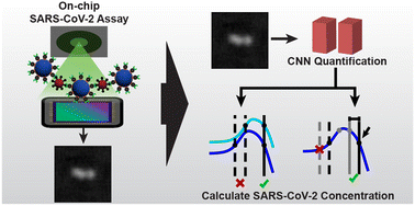 Graphical abstract: Point-of-care SARS-CoV-2 sensing using lens-free imaging and a deep learning-assisted quantitative agglutination assay