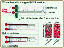 Graphical abstract: A point-of-care microfluidic channel-based device for rapid and direct detection of fibrinogen in whole blood