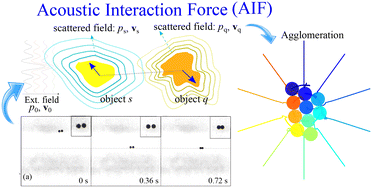 Graphical abstract: Acoustofluidics 24: theory and experimental measurements of acoustic interaction force