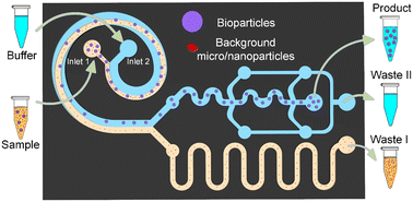 Graphical abstract: Efficient bioparticle extraction using a miniaturized inertial microfluidic centrifuge