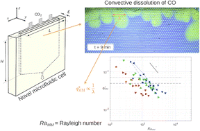 Graphical abstract: Two-dimensional micromodels for studying the convective dissolution of carbon dioxide in 2D water-saturated porous media