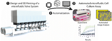 Graphical abstract: Automation of cell culture assays using a 3D-printed servomotor-controlled microfluidic valve system