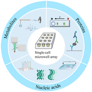 Graphical abstract: Microwell array chip-based single-cell analysis