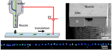 Graphical abstract: Integrated silicon microfluidic chip for picoliter-scale analyte segmentation and microscale printing for mass spectrometry imaging