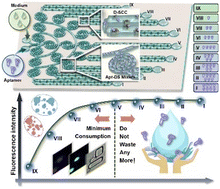 Graphical abstract: Intolerance of profligacy: an aptamer concentration gradient-tailored unicellular array for high-throughput biologics-mediated phenotyping