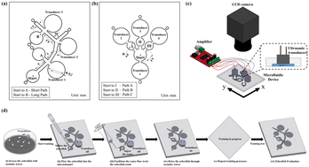 Graphical abstract: Behavioural responses of zebrafish with sound stimuli in microfluidics