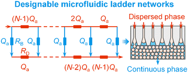 Graphical abstract: Designable microfluidic ladder networks from backstepping microflow analysis for mass production of monodisperse microdroplets