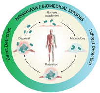 Graphical abstract: Non-invasive biomedical sensors for early detection and monitoring of bacterial biofilm growth at the point of care