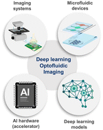 Graphical abstract: Optofluidic imaging meets deep learning: from merging to emerging