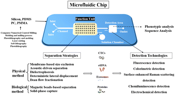 Graphical abstract: Latest advances and perspectives of liquid biopsy for cancer diagnostics driven by microfluidic on-chip assays