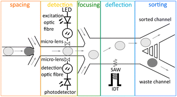 Graphical abstract: Acoustic sorting of microfluidic droplets at kHz rates using optical absorbance