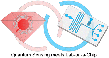 Graphical abstract: Microfluidic quantum sensing platform for lab-on-a-chip applications